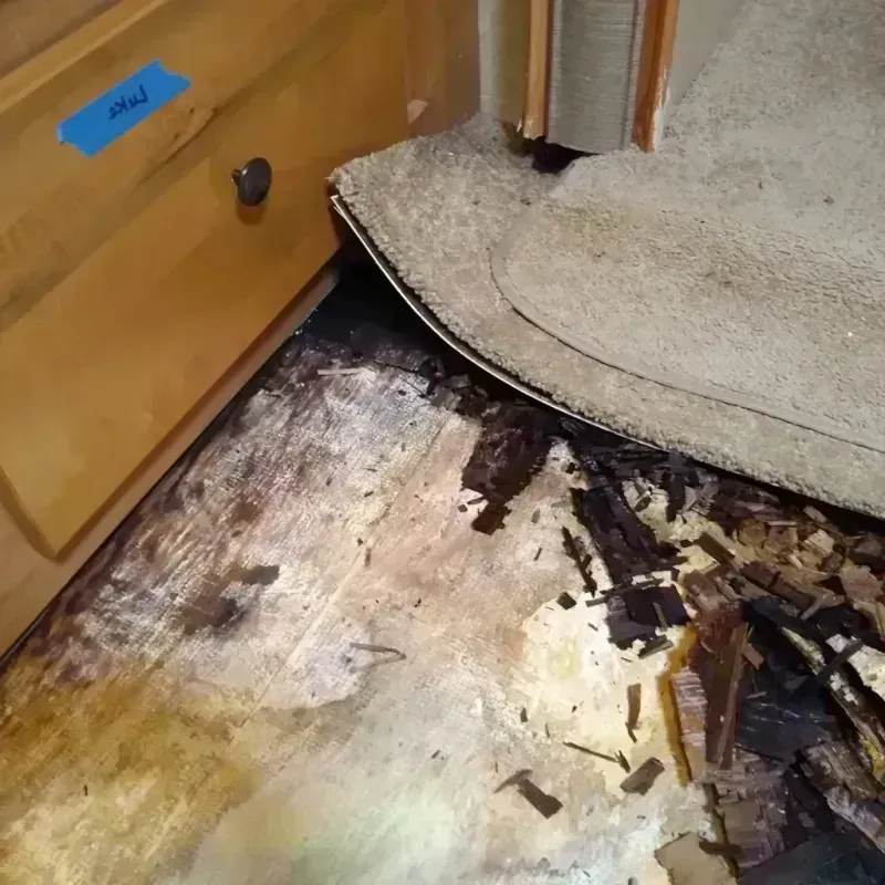 Wood Floor Water Damage in Cave Creek, AZ